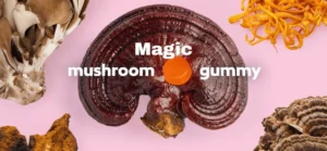 Magic Mushroom Gummies